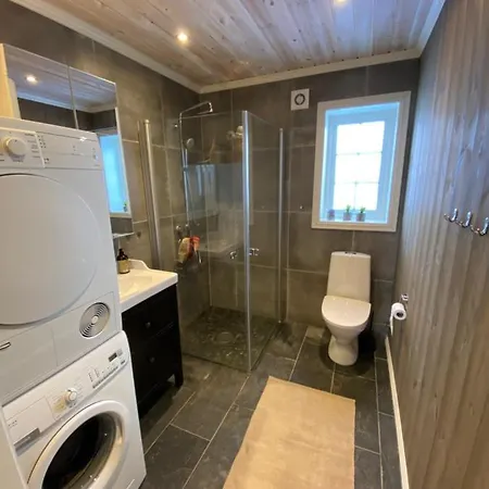 Endely - / Ut Rauland